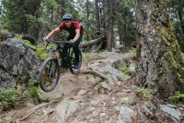MTBの黄金時代へようこそ、Stumpjumper EVO