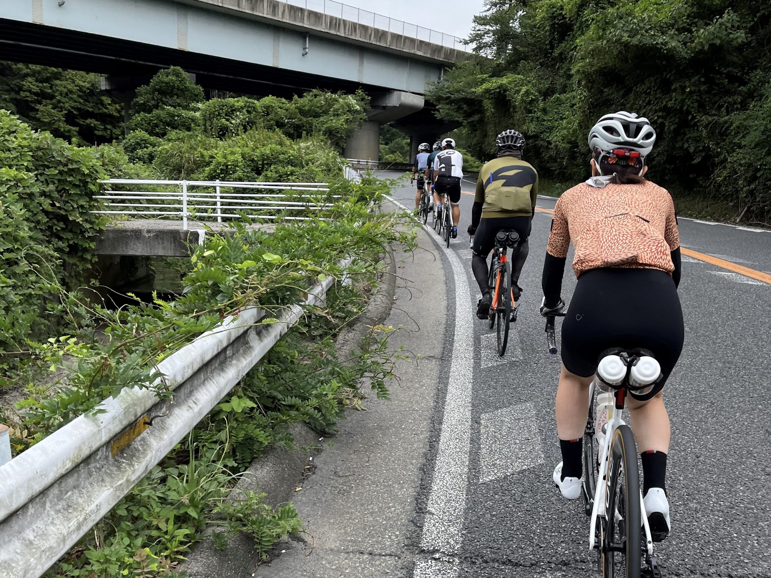 ロードバイク集団ライドイメージ