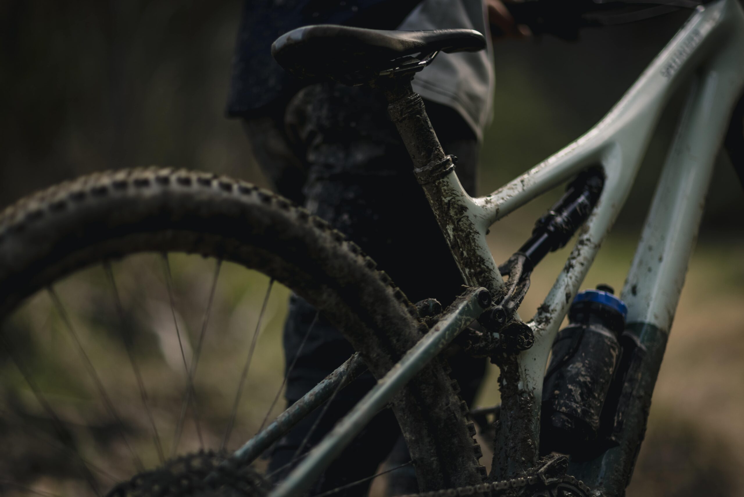 マウンテンバイク(MTB) 試乗車一覧/スペシャライズド江坂