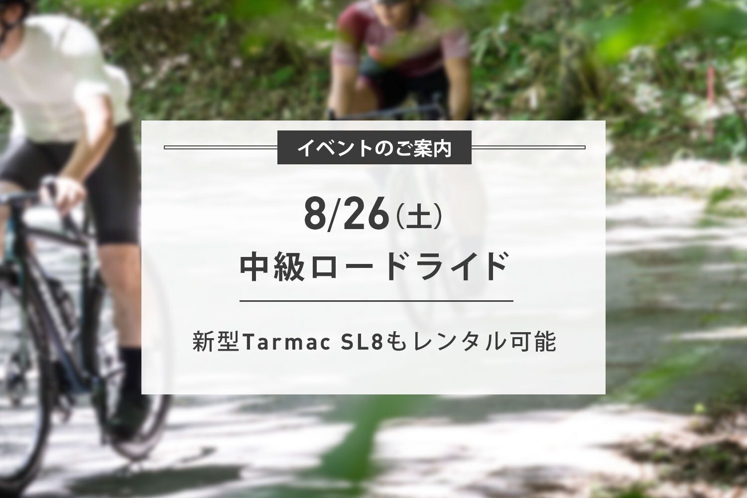 8/26(土) New Tarmac SL8に乗れる!中級ロードライド開催